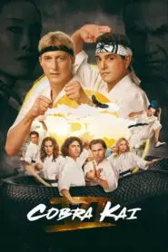 Cobra Kai All Hindi Dubbed Seasons Complete Watch Online HD Free Download