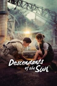 Descendants of the Sun Hindi Dubbed Season Complete Watch Online HD Print Free Download