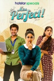 Miss Perfect Hindi Season Complete Watch Online HD Print Free Download