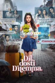 Dil Dosti Dilemma Hindi Season Complete Watch Online HD Print Free Download