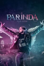 Parinda Paar Geyaa Punjabi Full Movie Watch Online HD Print Free Download