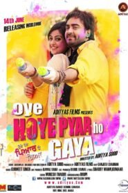 Oye Hoye Pyar Ho Gaya (2013) Full Movie Watch Online HD Download