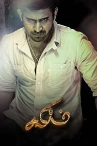 Salim South Hindi Dubbed Full Movie Watch Online HD Print Free Download