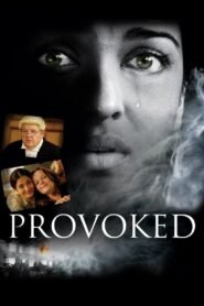 Provoked: A True Story Full Movie Watch Online HD Free Download