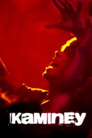 Kaminey Full Movie Watch Online HD Free Download