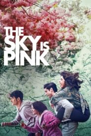 The Sky Is Pink Hindi Full Movie Watch Online HD Print Free Download