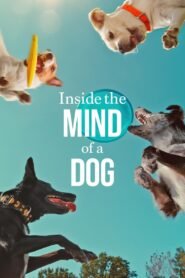 Inside the Mind of a Dog Hindi Dubbed Full Movie Watch Online HD Print Free Download