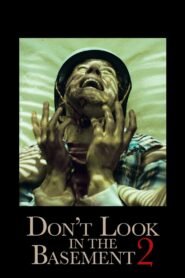 Don’t Look in the Basement 2 (2016) Full Movie Watch Online Free Download