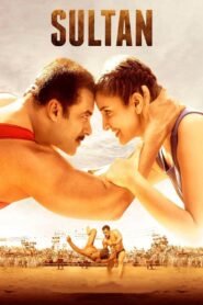 Sultan Hindi Full Movie Watch Online HD Print Free Download