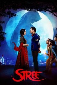 Stree (2018) Hindi Full Movie Watch Online HD Print Free Download