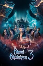 Bhool Bhulaiyaa 3 (2024) Hindi Full Movie Watch Online HD Print Free Download