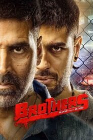 Brothers (2015) Hindi Full Movie Watch Online HD Print Free Download